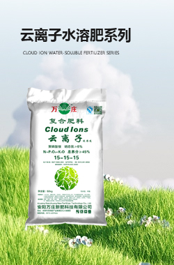 云离子青青草性视频APP肥系列